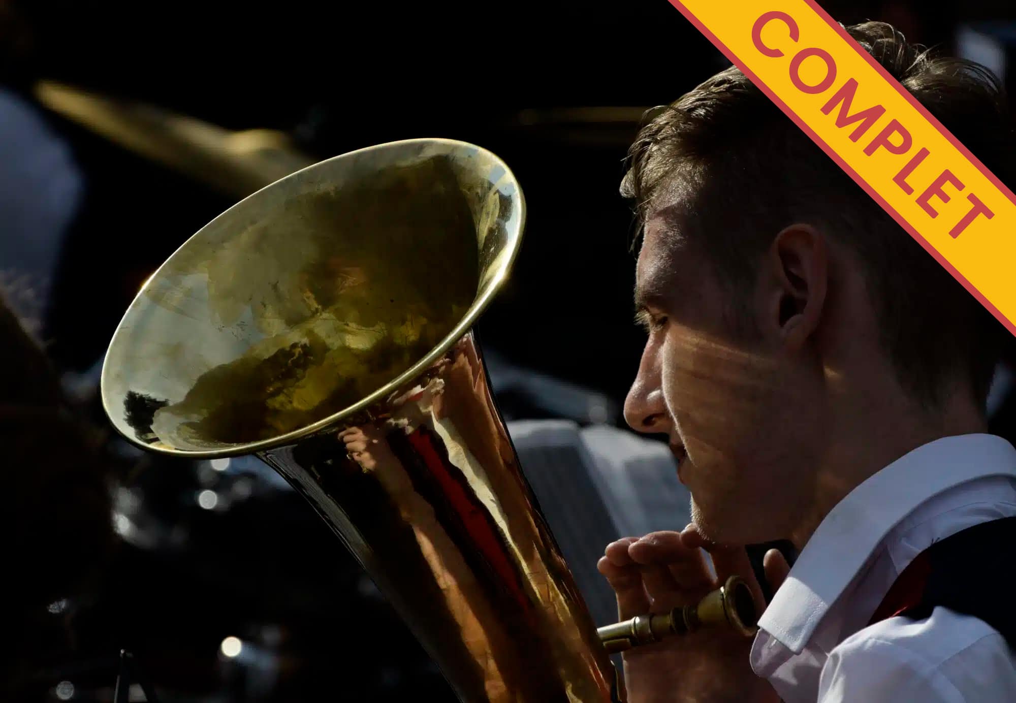 Musicien de dos avec un tuba : complet